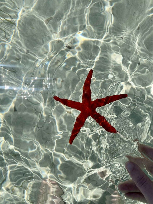 The Most Wonderful Time of the Year